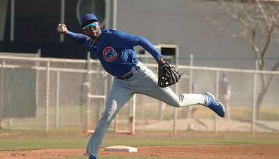 Cubs prospect injuries: Updates on Ed Howard, Alexander Canario, Nazier Mule, James Triantos