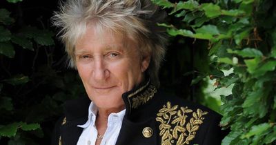 Gig guide: Rod Stewart, Birds Of Tokyo, The Terrys & more