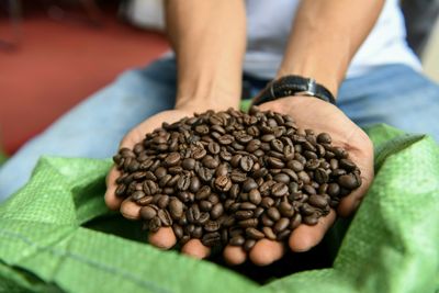 Vietnam's robusta: the go-to coffee bean in a warmer world?