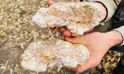 Australian man finds gold nugget worth $250,000 in Victoria