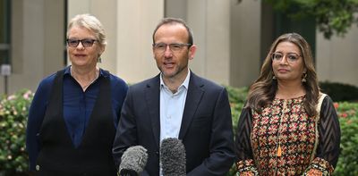 Safeguard deal shows Bandt's Greens party has come of age