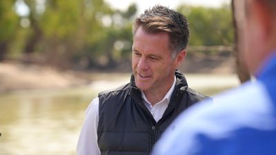 NSW Premier Chris Minns says Menindee mass fish deaths will be investigated