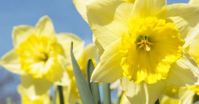 Mixture of rain, cloud, and highs of 15C in Leeds weather forecast on Wednesday says Met Office