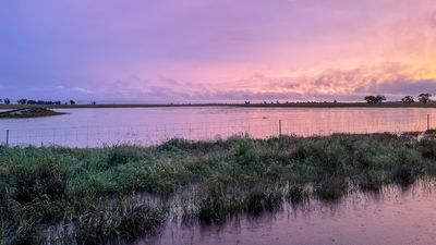 Food security facing growing threats, farmers tell Australian parliamentary inquiry