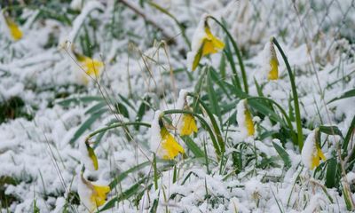 Spring has sprung in the UK but don’t be surprised by more wintry weather