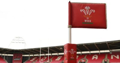 Today's rugby news as WRU to meet today over bombshell Llanelli statement and star out of World Cup