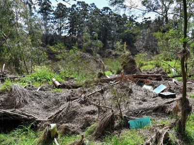 Minister wants to pay landowners to help repair nature