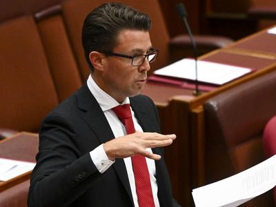 Coalition senators fight Labor climate bill to the end