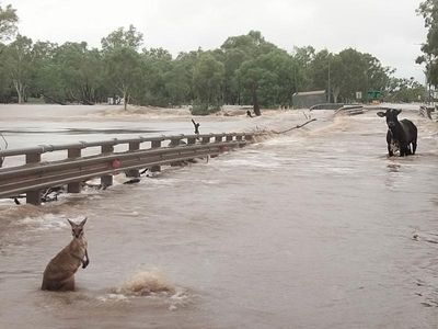 Flood-ruined WA bridge to be rebuilt six times stronger