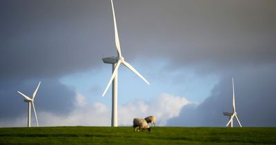 Build more wind and solar power to cut families' energy bills, say campaigners