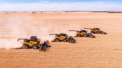 South Australian farmers enjoy record results after long, drawn-out harvest