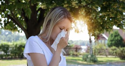 UK's top pollen hotspots revealed as hay fever experts share tips to beat allergies