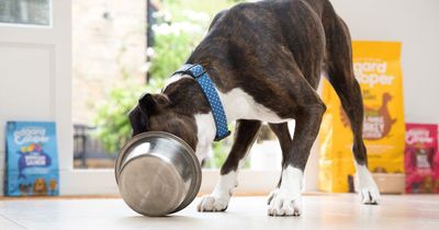 Half of us unknowingly feed our dogs food with 'mystery' ingredient