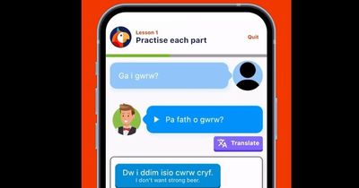 Virtual pubs and restaurants helping people learn to speak Welsh