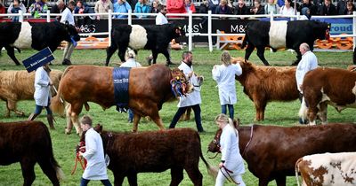Peta demands Royal Highland Show swaps animal displays for 'turnip beauty pageant'
