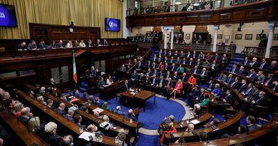 Government wins confidence motion following furious Dail debate