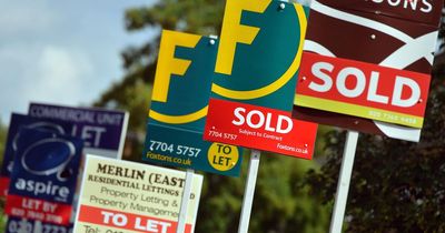 Property experts encouraged by 'green shoots' as mortgage approvals rise