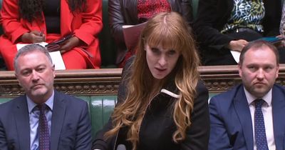 Angela Rayner fumes rapists 'allowed to roam streets' on Dominic Raab's watch