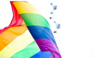 "Legalising same-sex marriage will have devastating impact on society": Former judges
