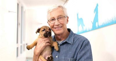 ITV schedule shake-up as channel cancels The Chase after Paul O'Grady's death aged 67