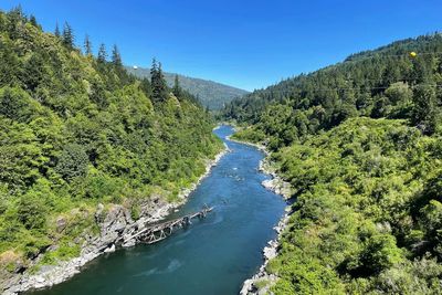 River restoration changes ecosystem