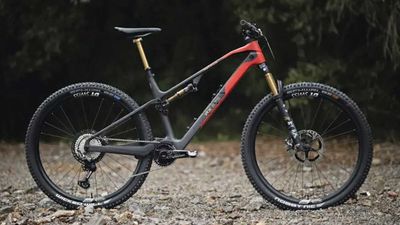 German Bike Company Rotwild Releases Ultra-Lightweight E-MTB R.X275