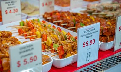 Italian plan to ban lab-grown food criticised as misguided