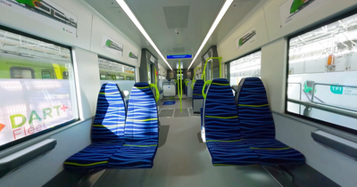 New DART+ fleet unveiled with comfy seating, wheelchair access and high-resolution onboard displays