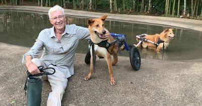 Paul O'Grady: Dogs whose lives were forever changed by his kindness