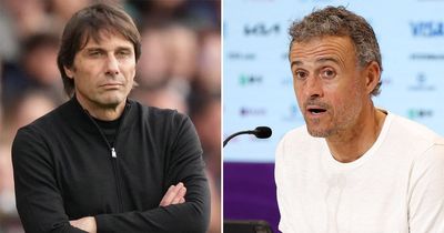 Luis Enrique suggests he shares Antonio Conte's Tottenham doubts amid Spurs manager link