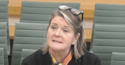 Tory MP backed Commons sleazebuster into corner and told her to 'watch your back'