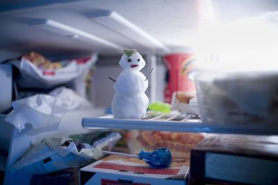 The items you should never store in a freezer