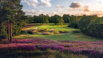 St George’s Hill Golf Club: Red & Blue Course Review, Green Fees, Tee Times and Key Info