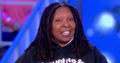 Whoopi Goldberg slams The View audience and begs them to let co-hosts 'get through it'