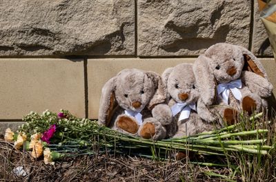 74 people have been killed or injured by guns at American schools this year