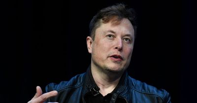 Elon Musk says AI poses 'profound risks to humanity' as experts demand development pause