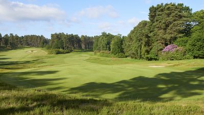 Swinley Forest Golf Club: Course Review, Green Fees, Tee Times and Key Info