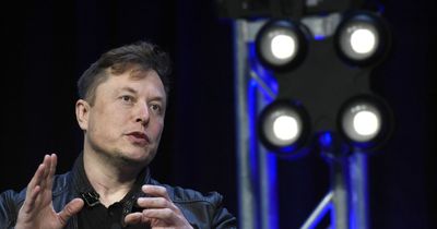 'Is Open AI ChatGPT Safe?' Google searches soar 614% as Elon Musk warns of 'profound' AI risk