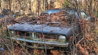 1972 Plymouth Cuda Among Many Classic Cars Rescued From Overgrown Yard