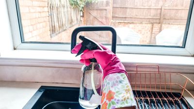 Here's how to clean windows with vinegar