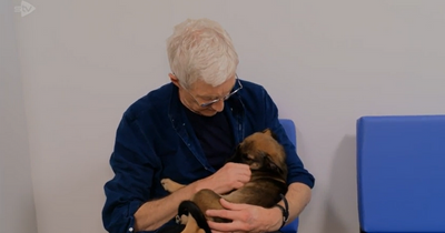 Paul O'Grady's final hours 'surrounded by dogs, laughing and full of life'
