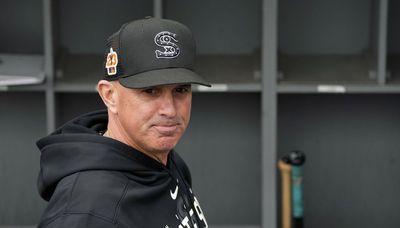 White Sox’ Pedro Grifol got the job he wanted. Did the team get the manager it needed?
