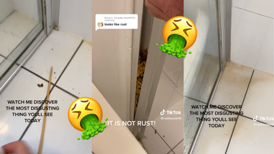 A Gold Coast Renter Noticed A Nasty Smell Lingering In Her Home The Source Will Make You Gag