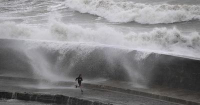 UK weather: Ferocious 70mph winds to fell trees and cause travel chaos as warning issued