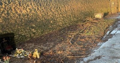 Parents feel they can't visit their children due to 'disgusting' state of Nottinghamshire cemetery