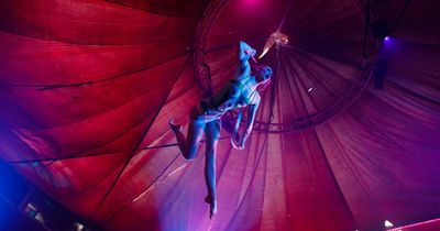 The sexiest show in town is back as Spiegeltent big top goes up in Civic Park