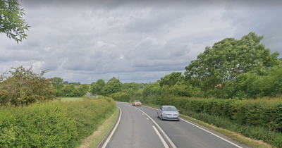 Four cows killed in Nottinghamshire collision after herd escapes onto main road in Kneesall