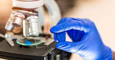 Three die from mystery nosebleed disease within 24 hours as town quarantined