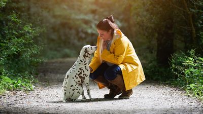 Dog won’t come when called? You need this trainer’s three fun games for a reliable recall