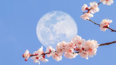 Full Moon April 2023 in Libra is waking up your inner love goddess - especially for these signs